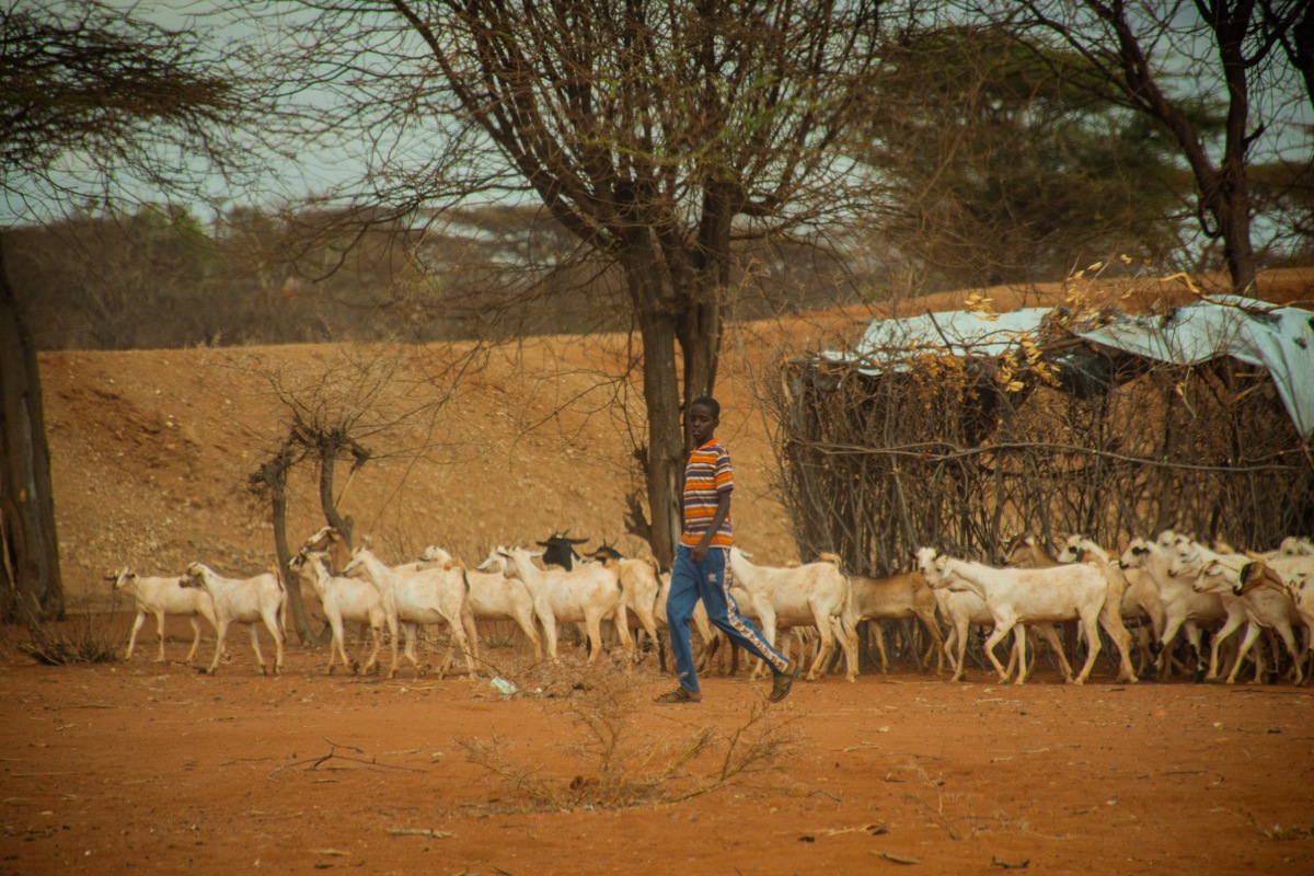 International Education Day